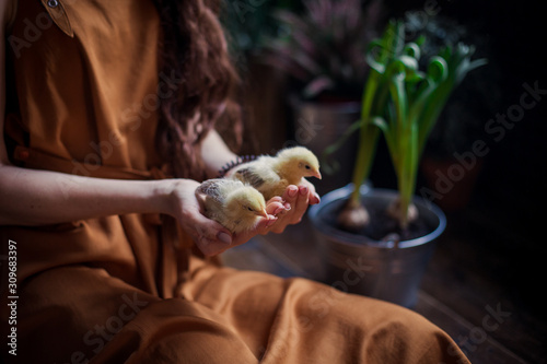 easter background newborn chickens in the hands of a tiny tiny defenseless girl. Spring eggs holiday new life awakening ecologicaly clean natural eco farming village photo