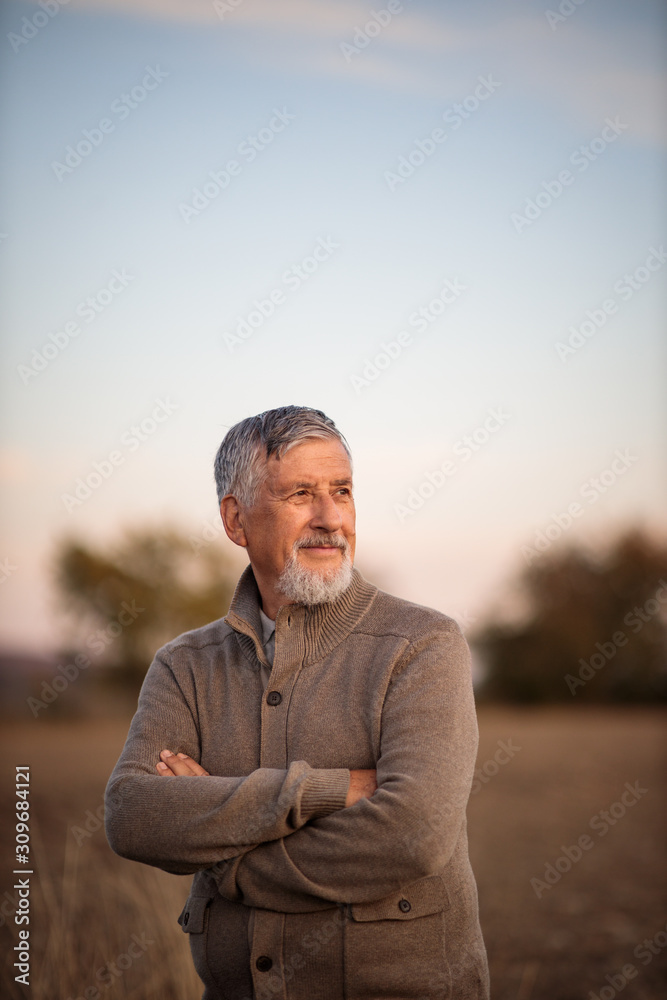 Portrait of handsome senior man in the autumn outdoors. Active senioor enjoying his retirement in the nature Portrait of handsome senior man in the autumn outdoors. Active senioor enjoying his retirement in the nature