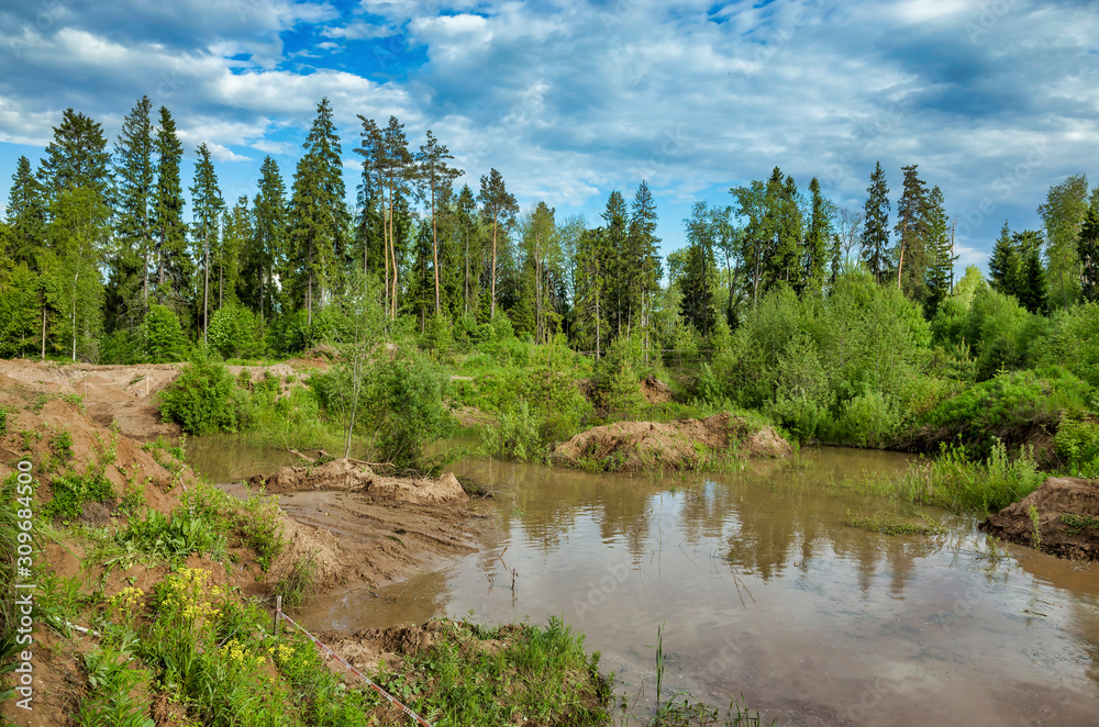 Forest and quarry with water, cloudy sky