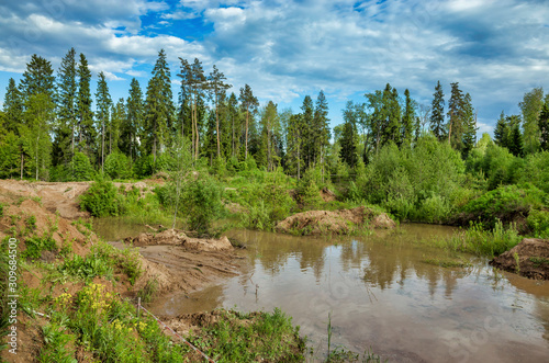 Obraz na płótnie Forest and quarry with water, cloudy sky w salonie