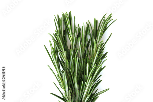 Fresh organic rosemary isolated on a white background.