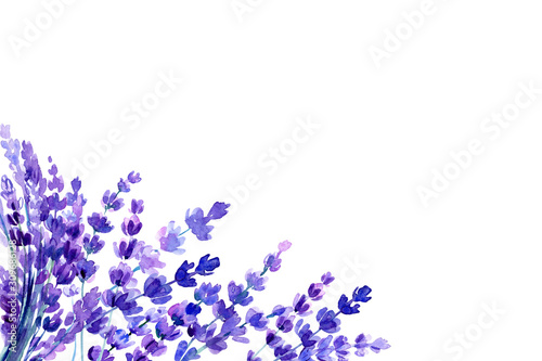 card with place for text  lavender flowers on an isolated white background  watercolor botanical painting