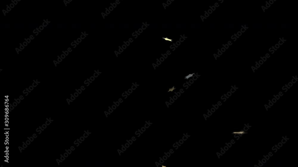 Nice happy party surprise stars confetti explosion on dark background. 4K 3d animation with alpha channel. Holidays backdrop animation. Nice happy party surprise stars confetti explosion on dark background. 4K 3d animation with alpha channel. Holidays backdrop animation.
