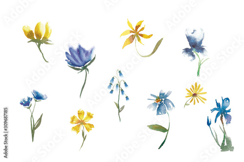 watercolor flowers 1