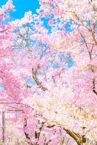 travel, Spring, Landscape