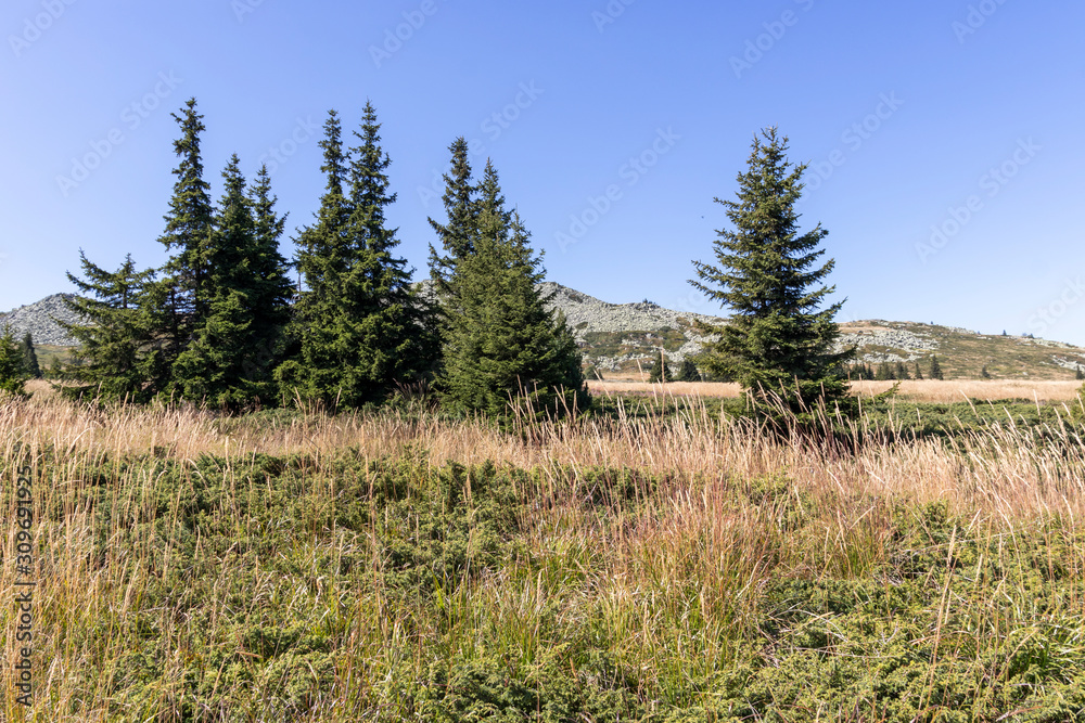 Autumn view of Vitosha Mountain, Bulgaria