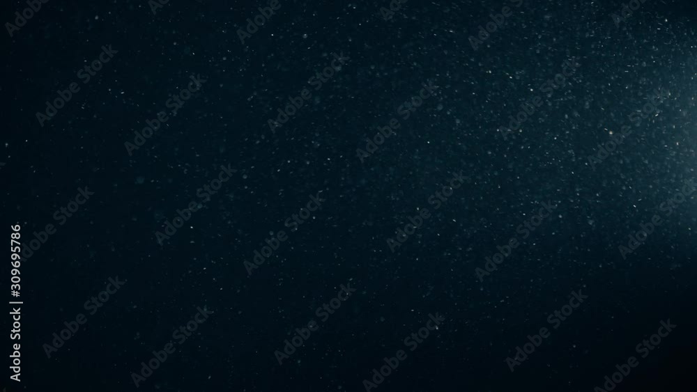 Natural Organic Dust Particles Floating On Black Background. Glittering Sparkling Particles Randomly Spin In The Air With Bokeh. Dynamic Particles With Fast And Slow Motion. Shimmering Dust In Space. Natural Organic Dust Particles Floating On Black Background. Glittering Sparkling Particles Randomly Spin In The Air With Bokeh. Dynamic Particles With Fast And Slow Motion. Shimmering Dust In Space.