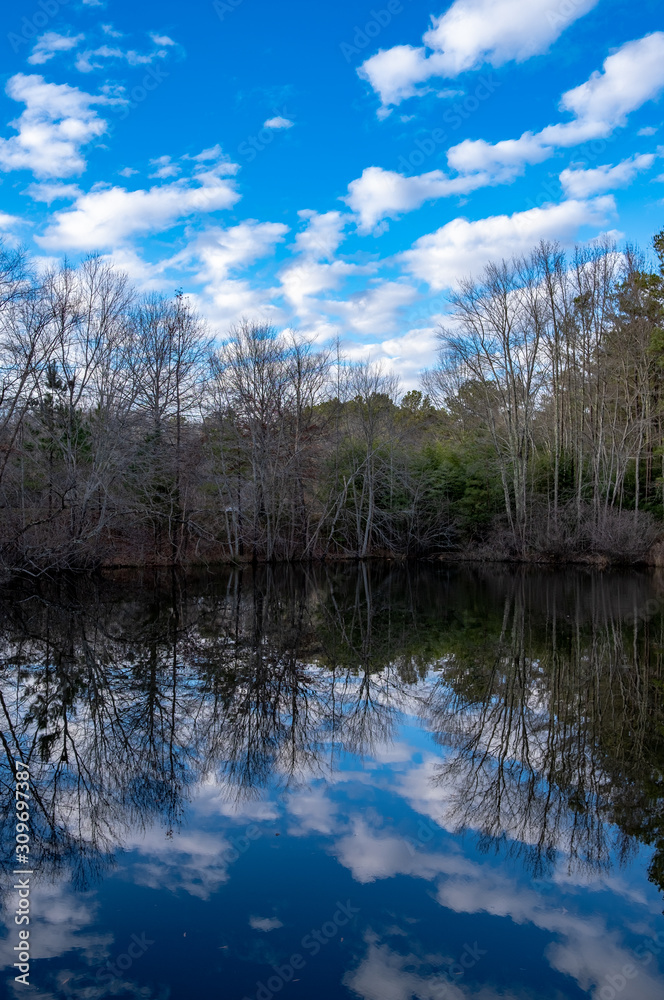 Blue Reflections