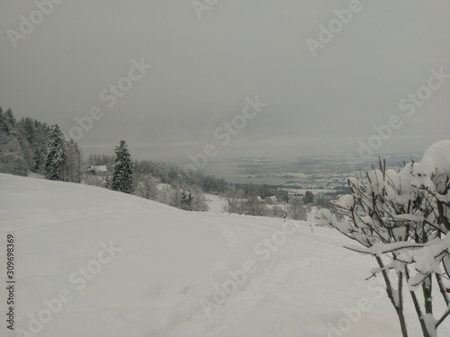 Snow1 photo