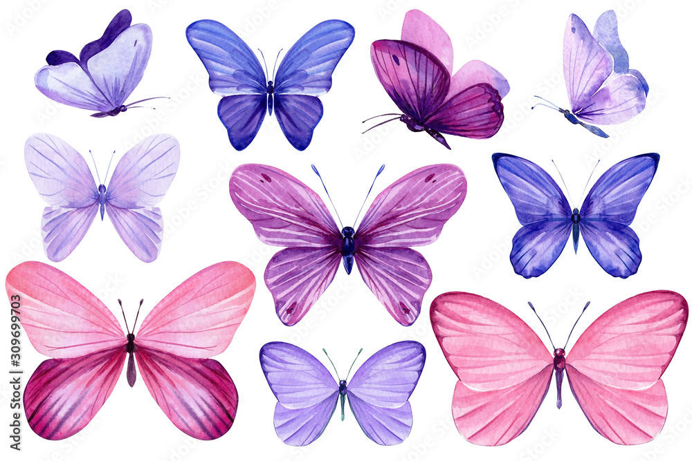 tropical pink and purple butterflies on an isolated white background ...
