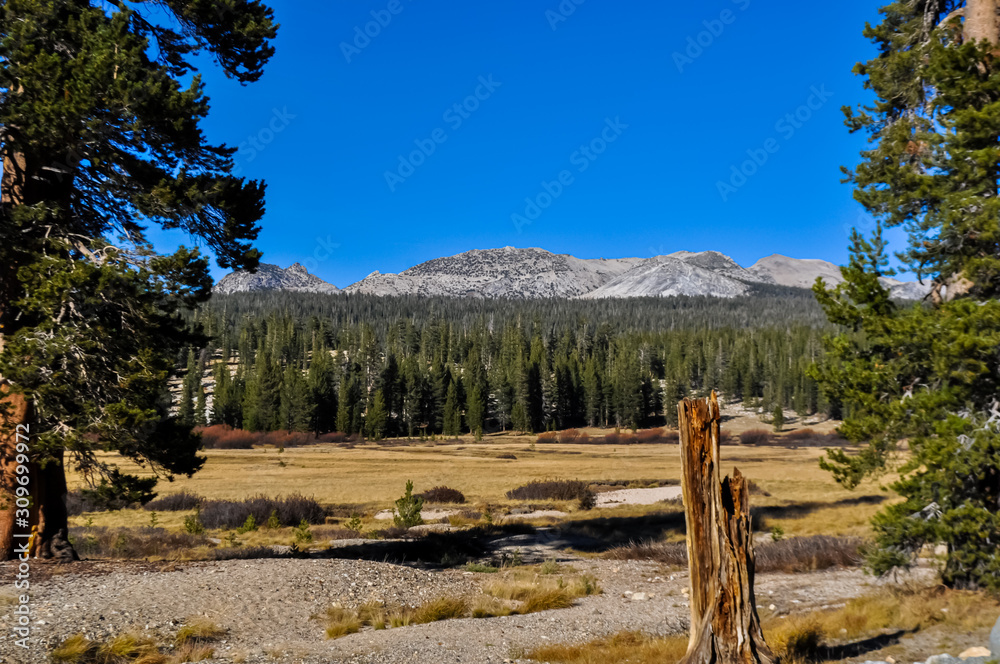 Beautiful view of the Yosemite landscapes in California Beautiful view of the Yosemite landscapes in California