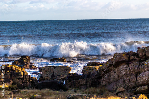 Waves 12