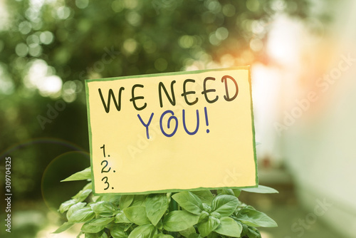 Writing note showing We Need You. Business concept for asking someone to work together for certain job or target Plain paper attached to stick and placed in the grassy land © Artur