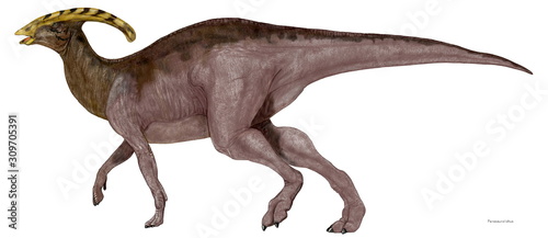 パラサウロロフス 白亜紀後期のハドロサウルスの仲間。同時期の他のカモノハシ竜であったランベオサウルスやコリトサウルスと同じく大型の植物食に特化した恐竜。最大の特徴は頭頂にある長い鶏冠である。その鶏冠に管があり、嗅覚を高めるものであるとか、この管の構造上トロンボーンのように音を出し、コミュニケーションのために使用する役割を持っていたという説がある。