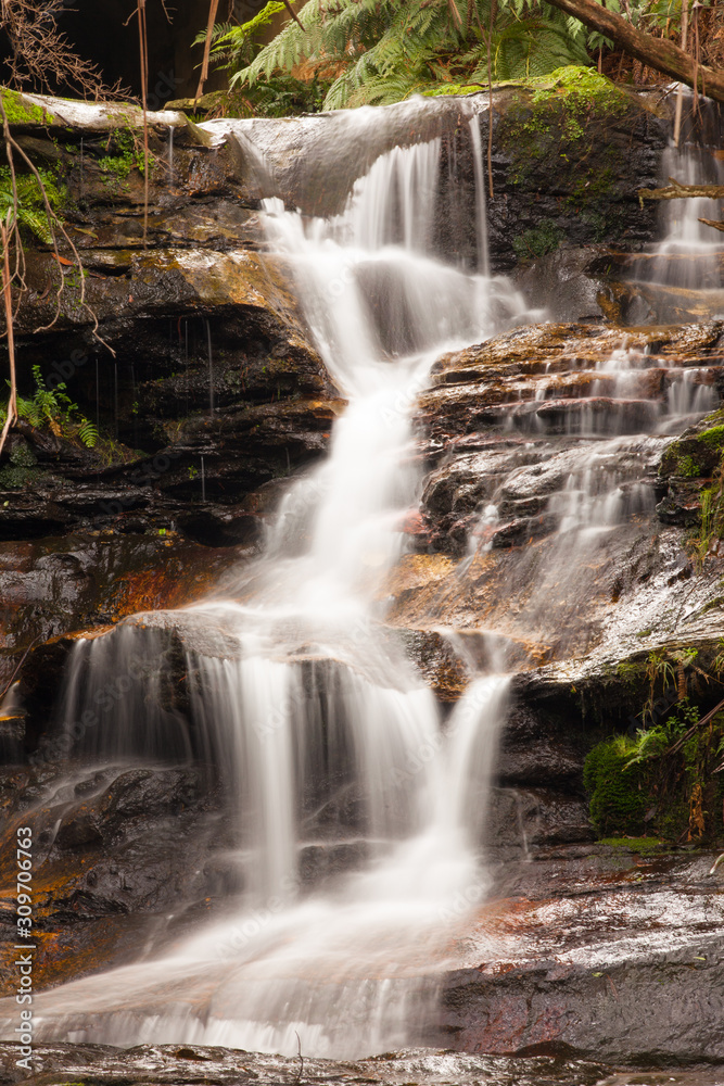 Obraz premium Nature's Beauty 3