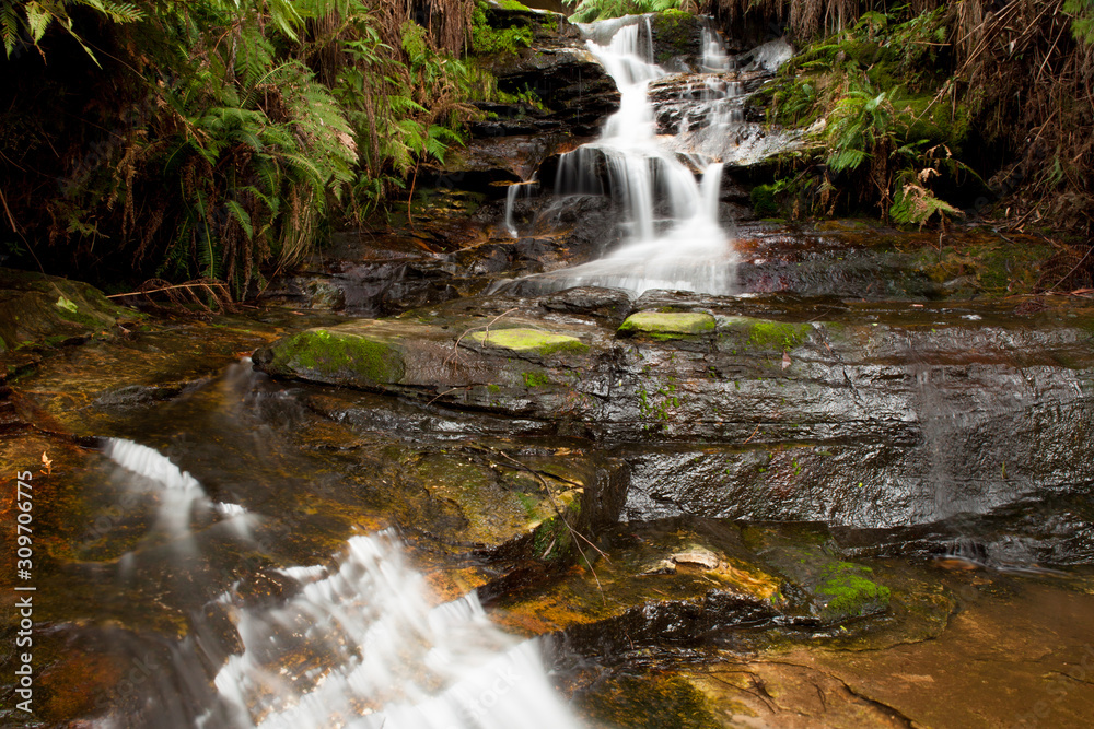 Fototapeta premium Natures Beauty 1