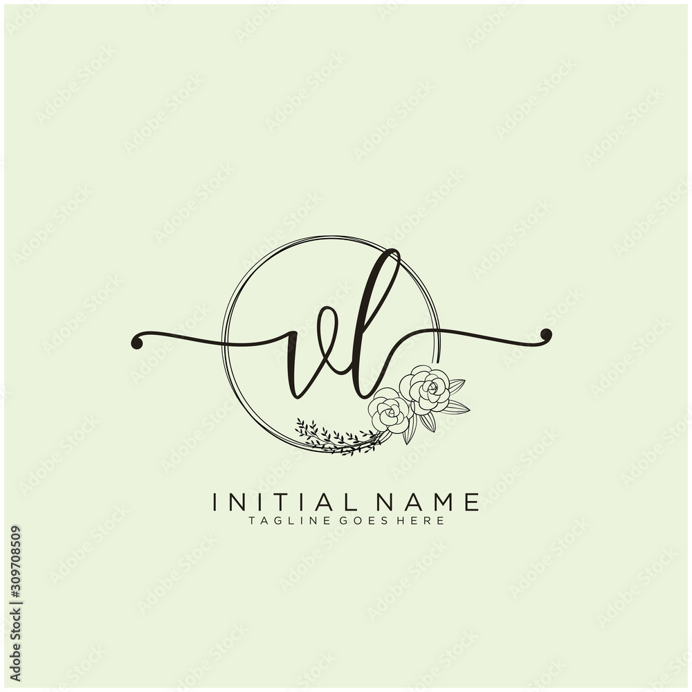 Initial letter vl creative elegant logo template Vector Image