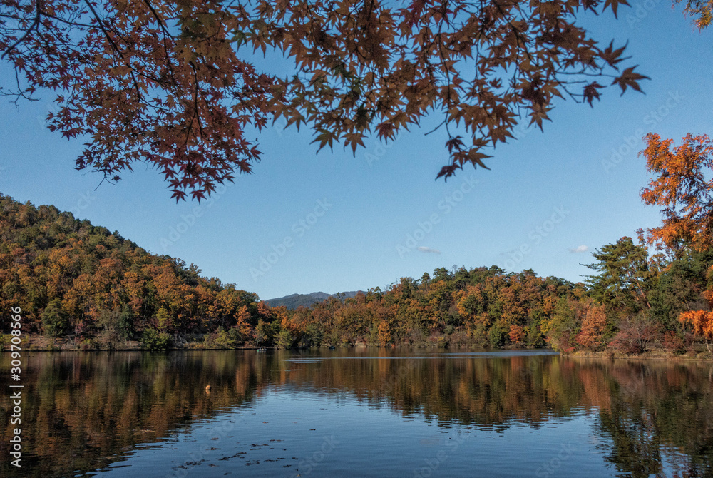 Fototapeta premium 秋の京都、宝ヶ池と山の自然風景