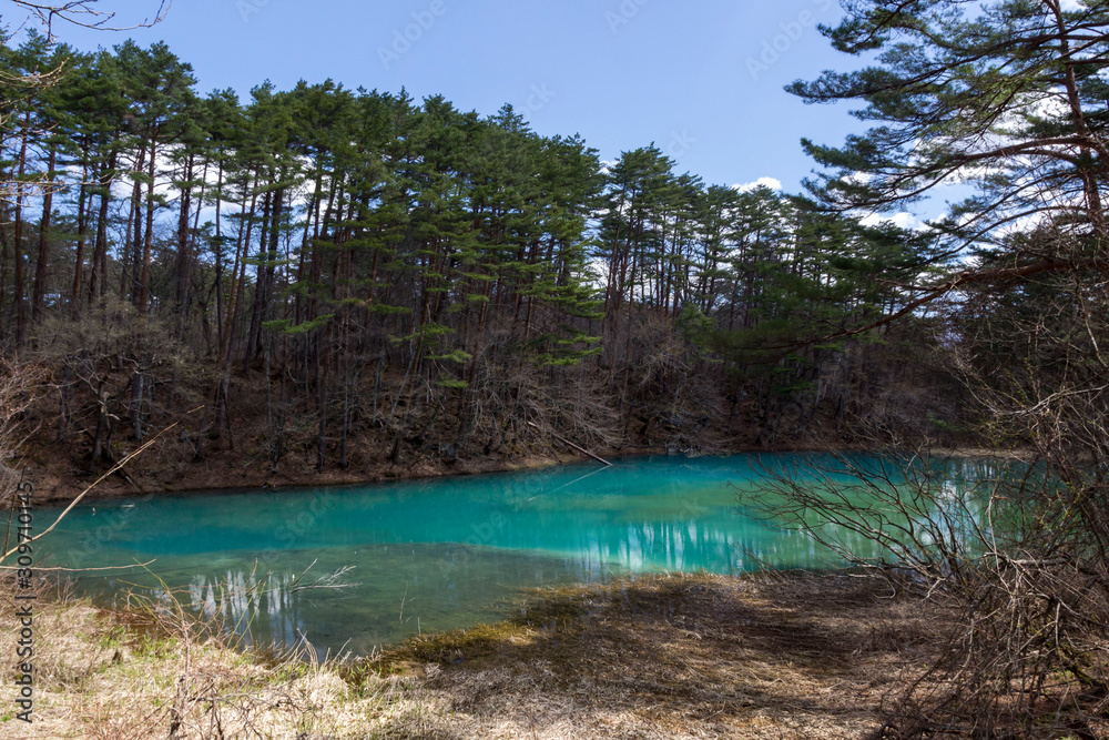 青沼／五色沼湖沼群／福島県北塩原村