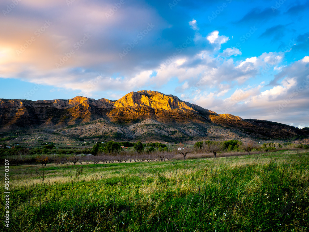 Fotografie crop field with sunlit mountain at sunset