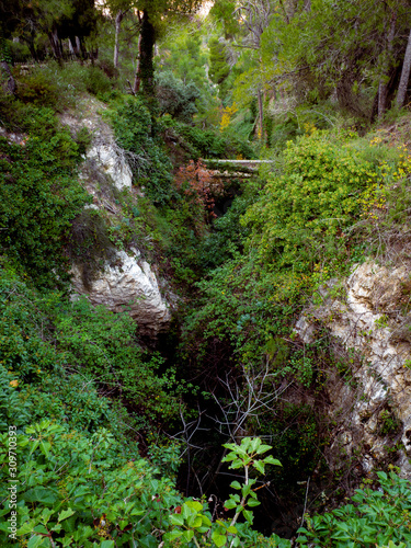  vertical cave covered with vegetation