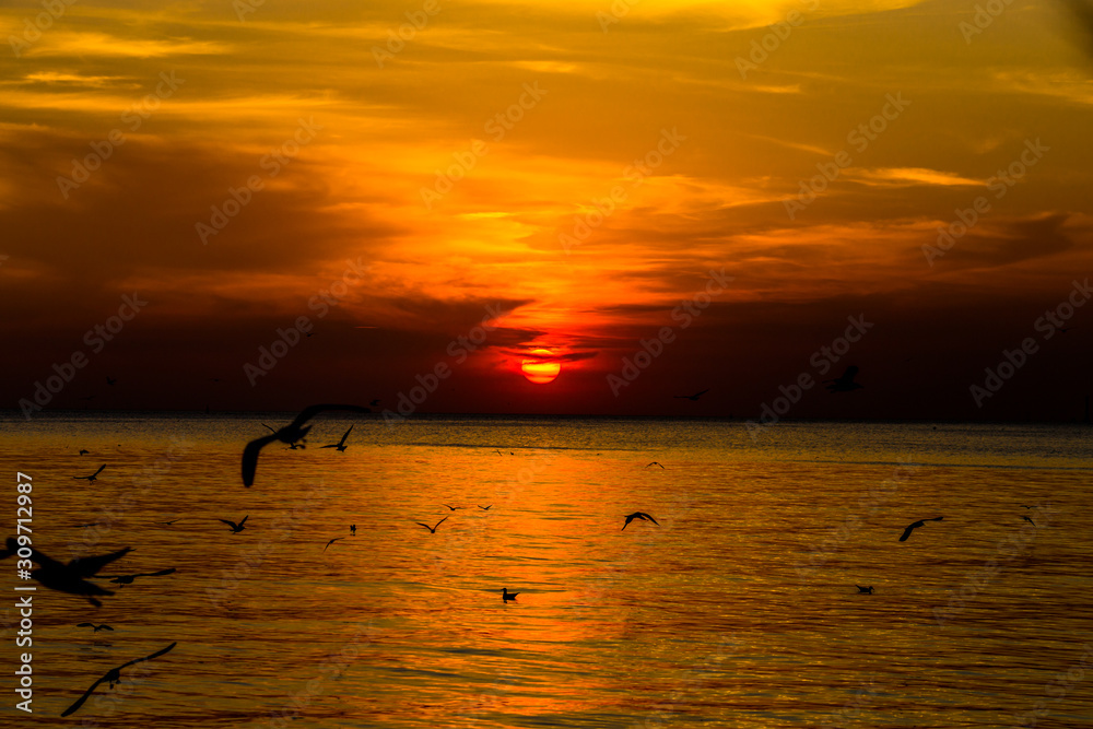 The blurred abstract background of the seagulls flying with the twilight light in the evening, and a multitude of birds on the branch while watching the evening.