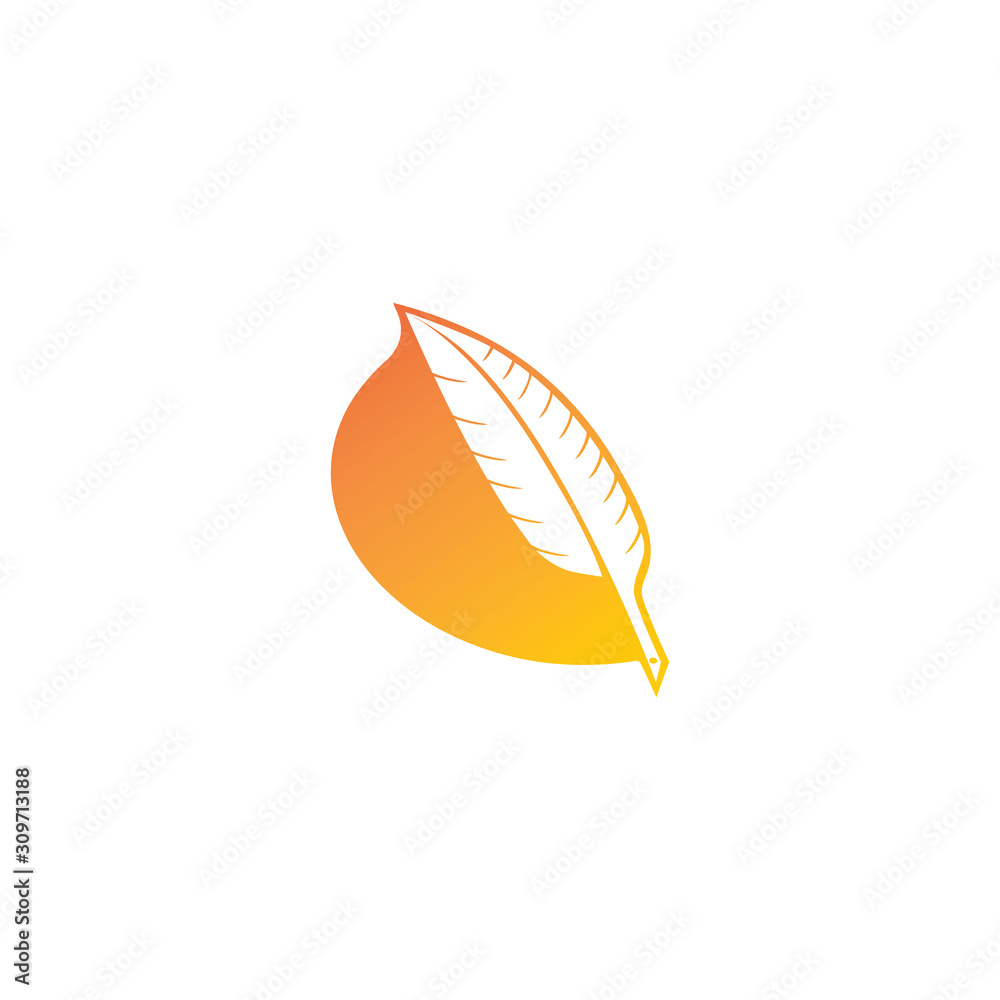 feather logo vector templates feather logo vector templates