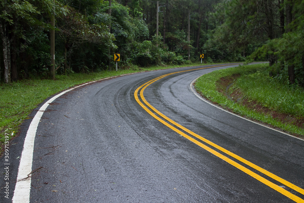 Fototapeta premium road in forest