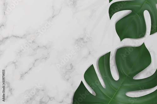 White Blank space marble template in white background top view. decor by monstera, tropical leaves. for product, sale, banner, presentation, cosmetic, offer. copy space. Realistic illustration Vector.