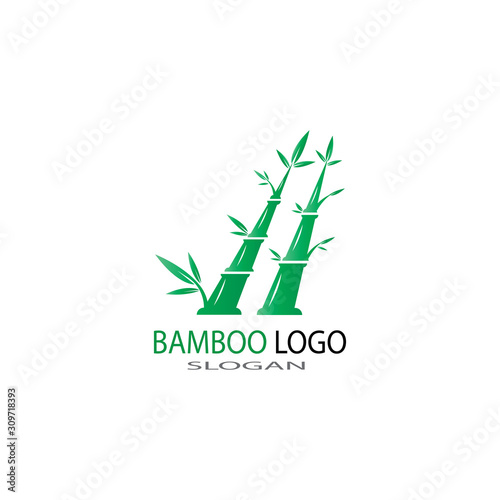 bamboo logo with green leaf vector icon template