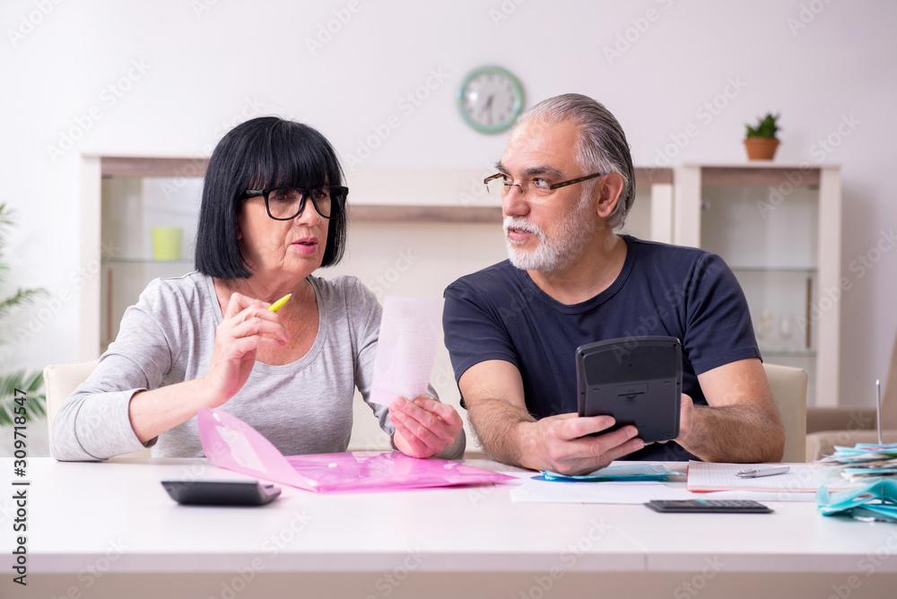 Fototapeta premium Senior couple discussing financial plans