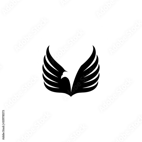 falcon eagle bird logo template vector