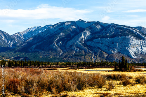 Road to Jasper National Park