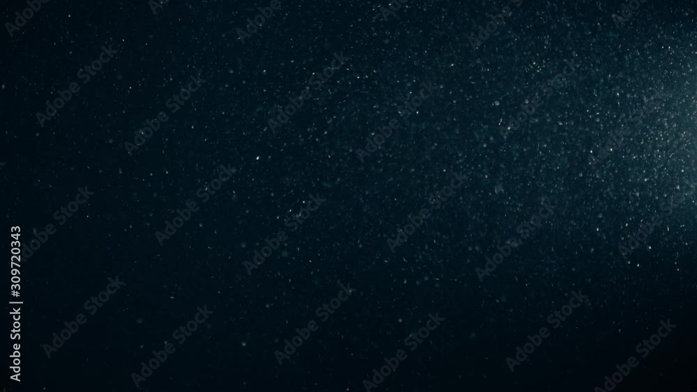 Natural Organic Dust Particles Floating On Black Background. Glittering Sparkling Particles Randomly Spin In The Air With Bokeh. Dynamic Particles With Fast And Slow Motion. Shimmering Dust In Space. Natural Organic Dust Particles Floating On Black Background. Glittering Sparkling Particles Randomly Spin In The Air With Bokeh. Dynamic Particles With Fast And Slow Motion. Shimmering Dust In Space.