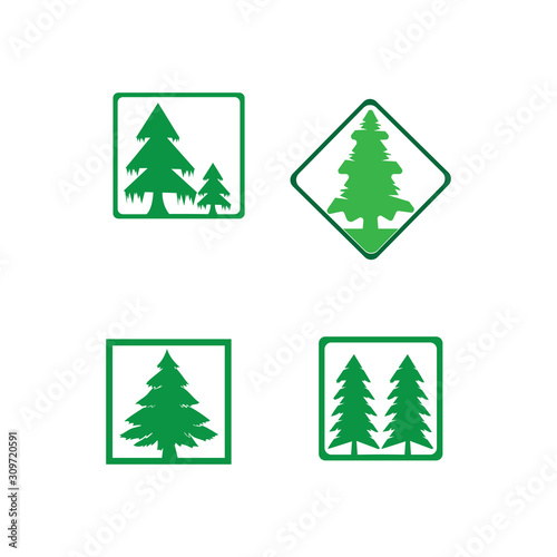 pine tree logo illustration vector design