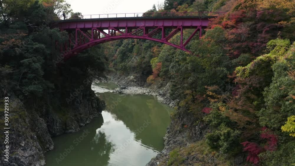 Red bridge crossing Eigenji River in Autumn, Japanese Maples in color. Aerial shot Red bridge crossing Eigenji River in Autumn, Japanese Maples in color. Aerial shot