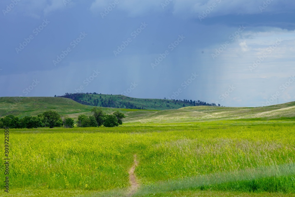 green field and blue sky in South Dakota green field and blue sky in South Dakota