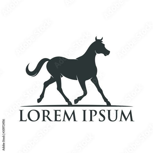 Black Horse Logo Design
