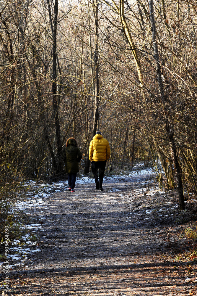 Two tourists, a man and a woman in a yellow jacket, walk in the spring forest, the snow melts, buds swell on the branches. Two tourists, a man and a woman in a yellow jacket, walk in the spring forest, the snow melts, buds swell on the branches.