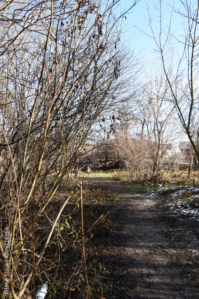 Through the forest there is a country road, a trail. Hiking in the autumn forest, around mud and bare trees. Through the forest there is a country road, a trail. Hiking in the autumn forest, around mud and bare trees.