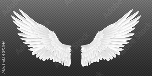 Obraz na plátně Realistic angel wings