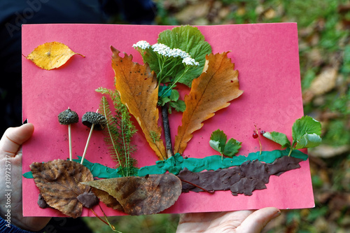 Children's handicrafts made of plasticine and autumn leaves