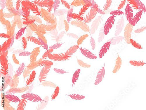 Detailed majestic feather on white design.