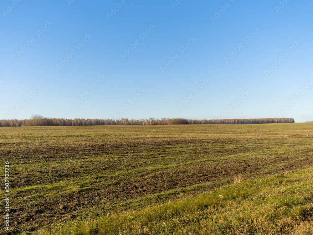 Green plowed fields. Autumn sunny day. Fields are preparing for new crops Green plowed fields. Autumn sunny day. Fields are preparing for new crops