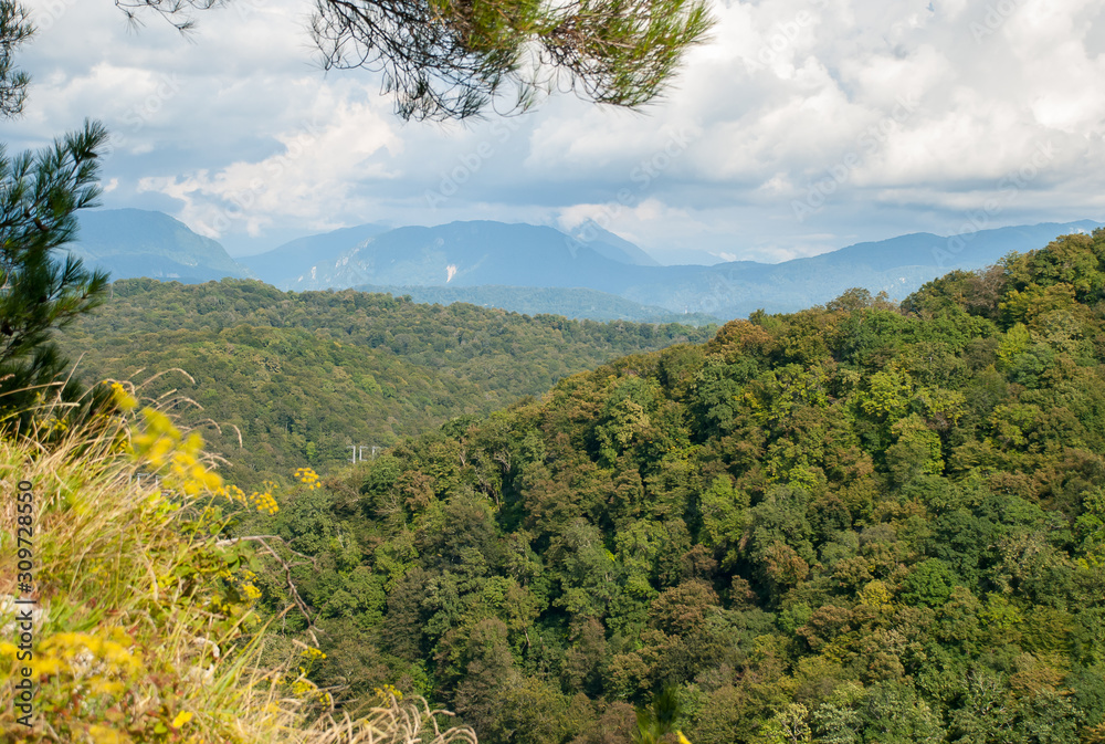 Summer landscape - mountains, forest, clouds