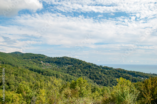 Summer landscape - mountains, forest, clouds