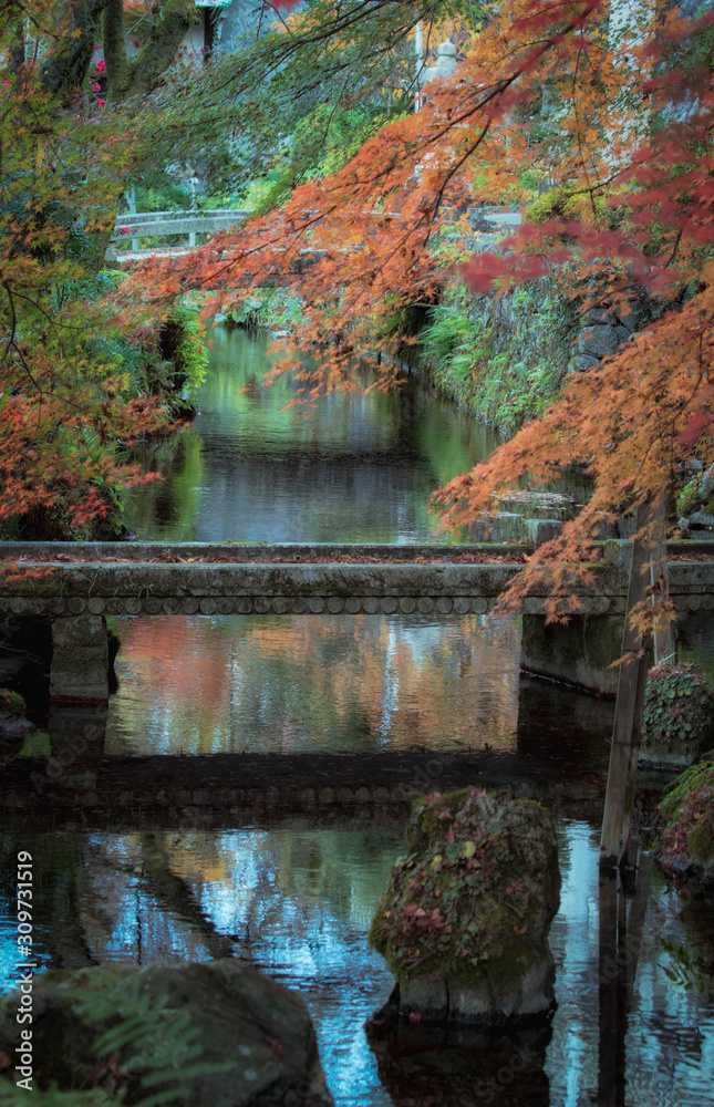 滋賀県米原市醒ヶ井の地蔵川と紅葉の秋景色