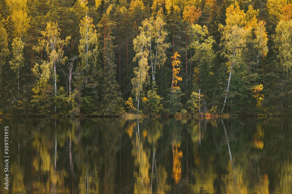 Autumn forest and lake reflection landscape in Finland Travel serene scenic view scandinavian woods wilderness nature trees background