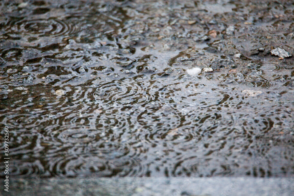 Obraz premium rain drop