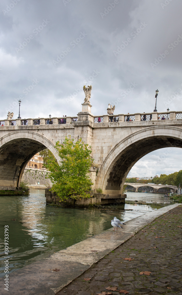 Two seagulls and a view of bridge of St Angelo in Rome from the river below